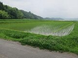 鳥取県倉吉市倉吉市三江 土地 物件写真