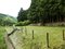 静岡県賀茂郡西伊豆町大沢里祢宜畑の国有財産物件
