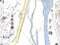 山梨県南巨摩郡身延町相又 身延駅の競売物件