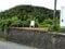 静岡県伊豆市湯ケ島 修善寺駅の国有財産物件