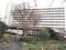 神奈川県横浜市港南区の競売物件 1,042万円 マンション 79m²