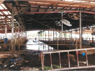 宮崎県都城市 霧島神宮駅 戸建て 1,634万円の競売物件 #20