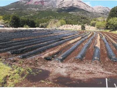 宮崎県都城市 霧島神宮駅 戸建て 1,634万円の競売物件 #31