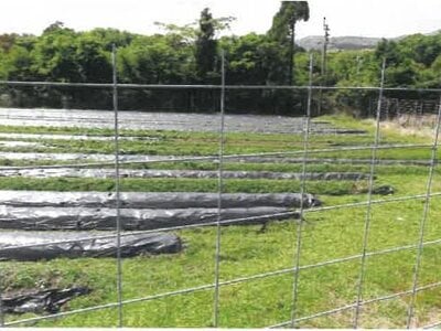 宮崎県都城市 霧島神宮駅 戸建て 1,634万円の競売物件 #35