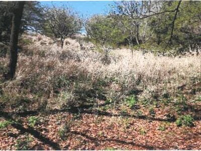 宮崎県都城市 霧島神宮駅 戸建て 1,634万円の競売物件 #40