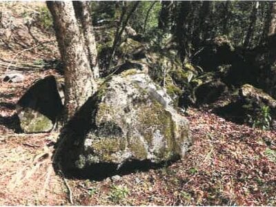 宮崎県都城市 霧島神宮駅 戸建て 1,634万円の競売物件 #41