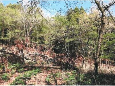 宮崎県都城市 霧島神宮駅 戸建て 1,634万円の競売物件 #42