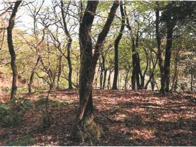 宮崎県都城市 霧島神宮駅 戸建て 1,634万円の競売物件 #43