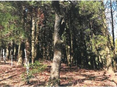 宮崎県都城市 霧島神宮駅 戸建て 1,634万円の競売物件 #44