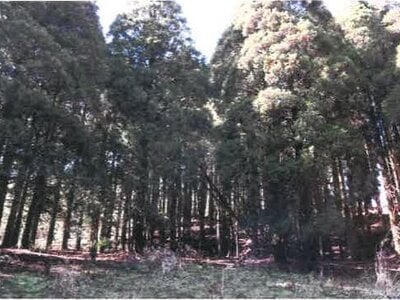 宮崎県都城市 霧島神宮駅 戸建て 1,634万円の競売物件 #45