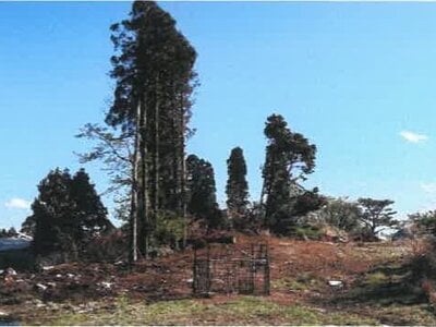 宮崎県都城市 霧島神宮駅 戸建て 1,634万円の競売物件 #46