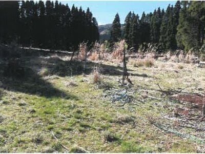 宮崎県都城市 霧島神宮駅 戸建て 1,634万円の競売物件 #47