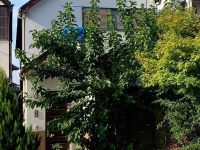 埼玉県入間市 仏子駅6分 戸建て 530万円の官公庁公売物件 #2