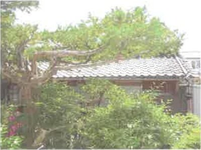 滋賀県蒲生郡日野町 日野駅 戸建て 408万円の競売物件 #4