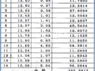 滋賀県大津市 石山寺駅 戸建て 340万円の競売物件 #18