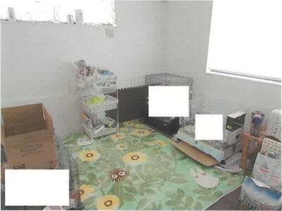 兵庫県丹波市 石生駅20分 戸建て 877万円の競売物件 #6