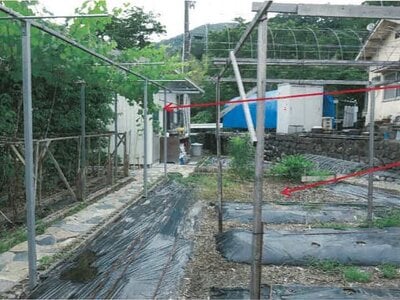兵庫県宍粟市 千本駅 戸建て 538万円の競売物件 #6