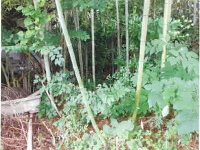 長野県大町市 南大町駅18分 戸建て 302万円の競売物件 #9