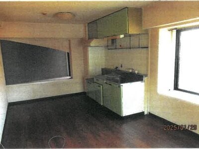 大阪府大阪市西成区 北天下茶屋駅3分 戸建て 1億6,546万円の競売物件 #26