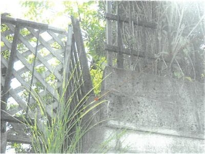 大阪府豊能郡豊能町 光風台駅4分 戸建て 469万円の競売物件 #15