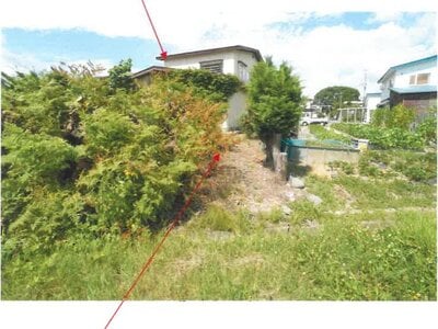 青森県平川市 撫牛子駅25分 土地 52万円の競売物件 #7