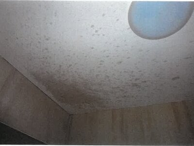 愛知県名古屋市南区 鶴里駅10分 戸建て 3,680万円の競売物件 #6