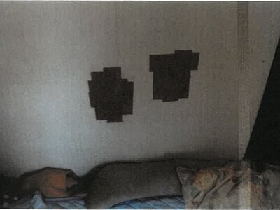 愛知県愛西市 佐屋駅12分 戸建て 518万円の競売物件 #6