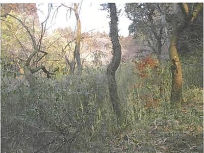 宮城県登米市 陸前横山駅30分 土地 21万円の競売物件 #2