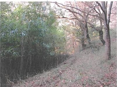 宮城県登米市 陸前横山駅30分 土地 21万円の競売物件 #3