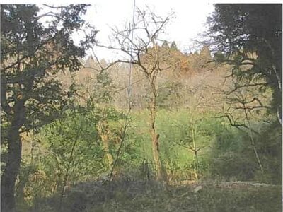 宮城県登米市 陸前横山駅30分 土地 21万円の競売物件 #4