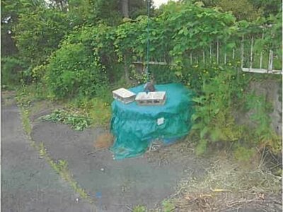 宮城県加美郡加美町 西古川駅 戸建て 144万円の競売物件 #3