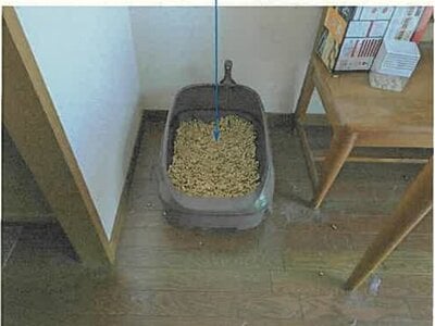 宮城県仙台市青葉区 黒松駅10分 マンション「アルコイリス双葉ケ丘」559万円の競売物件 #5