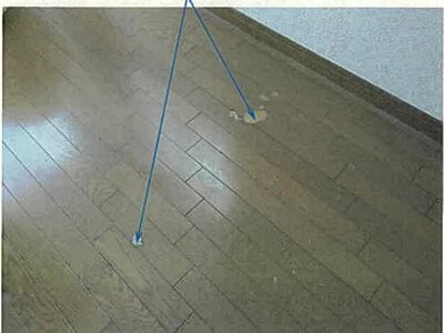 宮城県仙台市青葉区 黒松駅10分 マンション「アルコイリス双葉ケ丘」559万円の競売物件 #7