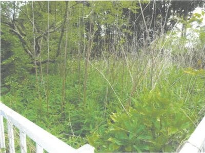 茨城県鉾田市 新鉾田駅19分 農地 143万円の競売物件 #4