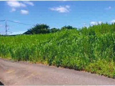 千葉県千葉市中央区 大森台駅17分 土地 1,213万円の競売物件 #4