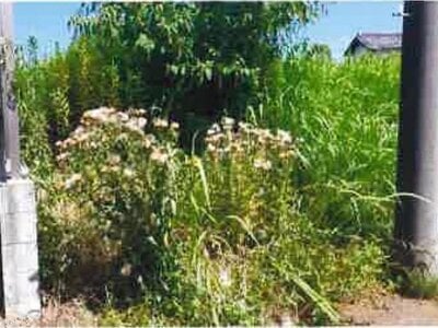 千葉県千葉市中央区 大森台駅17分 土地 1,213万円の競売物件 #5