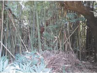 千葉県東金市 東金駅25分 戸建て 237万円の競売物件 #5