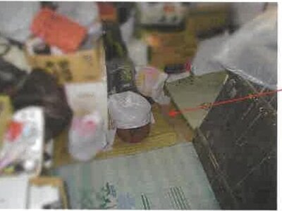 千葉県東金市 東金駅25分 戸建て 237万円の競売物件 #9