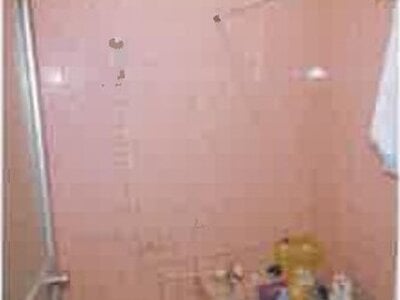 千葉県白井市 白井駅22分 戸建て 637万円の競売物件 #2