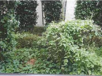 千葉県佐倉市 東葉勝田台駅10分 マンション「グリーンコート勝田台」823万円の競売物件 #6