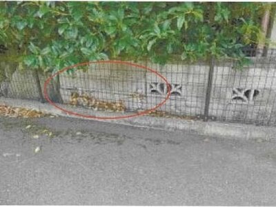 愛媛県四国中央市 川之江駅25分 戸建て 319万円の競売物件 #19