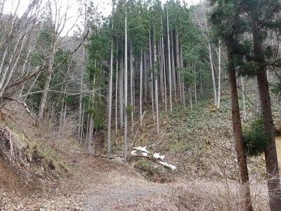 岐阜県高山市 土地 3万円の国税庁公売物件 #1