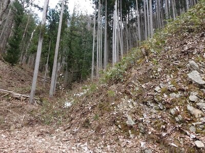 岐阜県高山市 土地 3万円の国税庁公売物件 #2