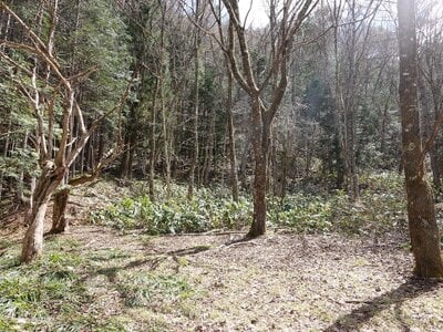 岐阜県高山市 土地 6万円の国税庁公売物件 #1