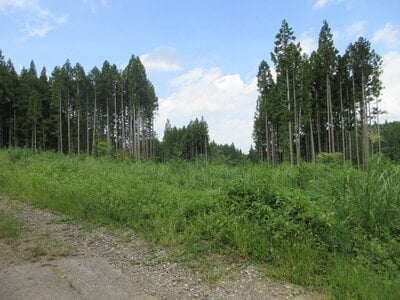 長野県上水内郡飯綱町 牟礼駅 土地 14万円の国税庁公売物件 #1