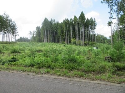 長野県上水内郡飯綱町 牟礼駅 土地 14万円の国税庁公売物件 #2