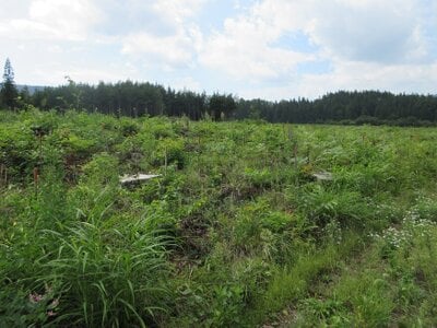 長野県上水内郡飯綱町 三才駅 土地 20万円の国税庁公売物件 #1