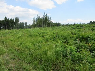 長野県上水内郡飯綱町 三才駅 土地 20万円の国税庁公売物件 #2