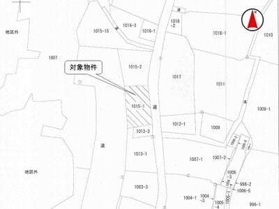(値下げ) 新潟県佐渡市 土地 35万円の国税庁公売物件 #3