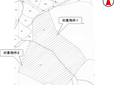 長野県上水内郡飯綱町 牟礼駅 土地 39万円の国税庁公売物件 #2